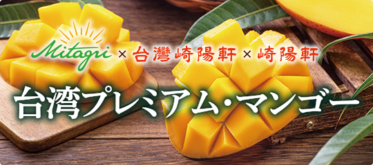 台湾産マンゴー販売